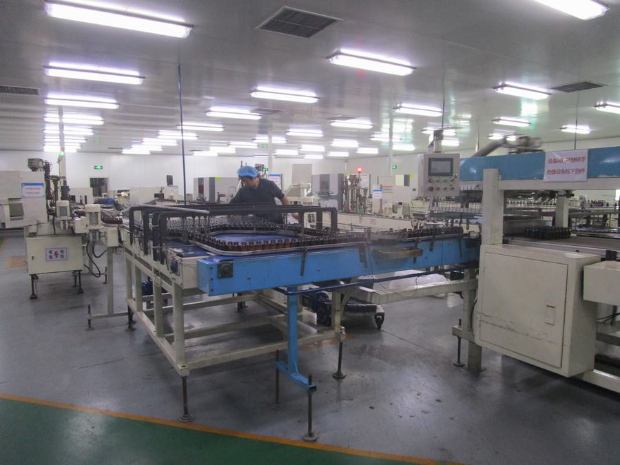 Inspection and Packing Line Inspection and Packing Line